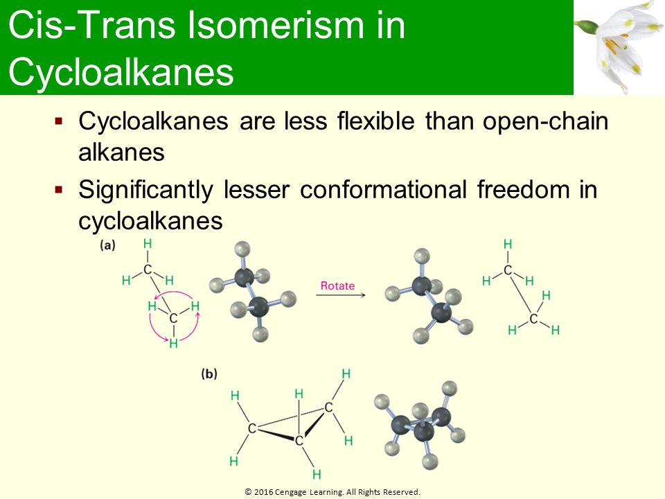 Organic Chemistry/Alkanes/Cycloalkanes